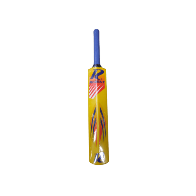 Regent Beach Cricket Bat