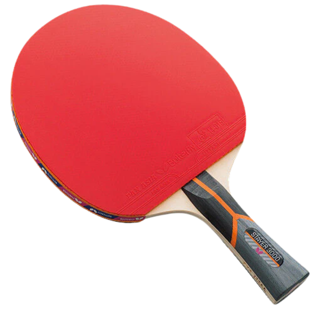 Butterfly Stayer 3000 Table Tennis Racket