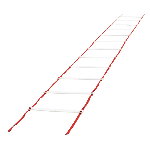 Steedman Speed Ladder